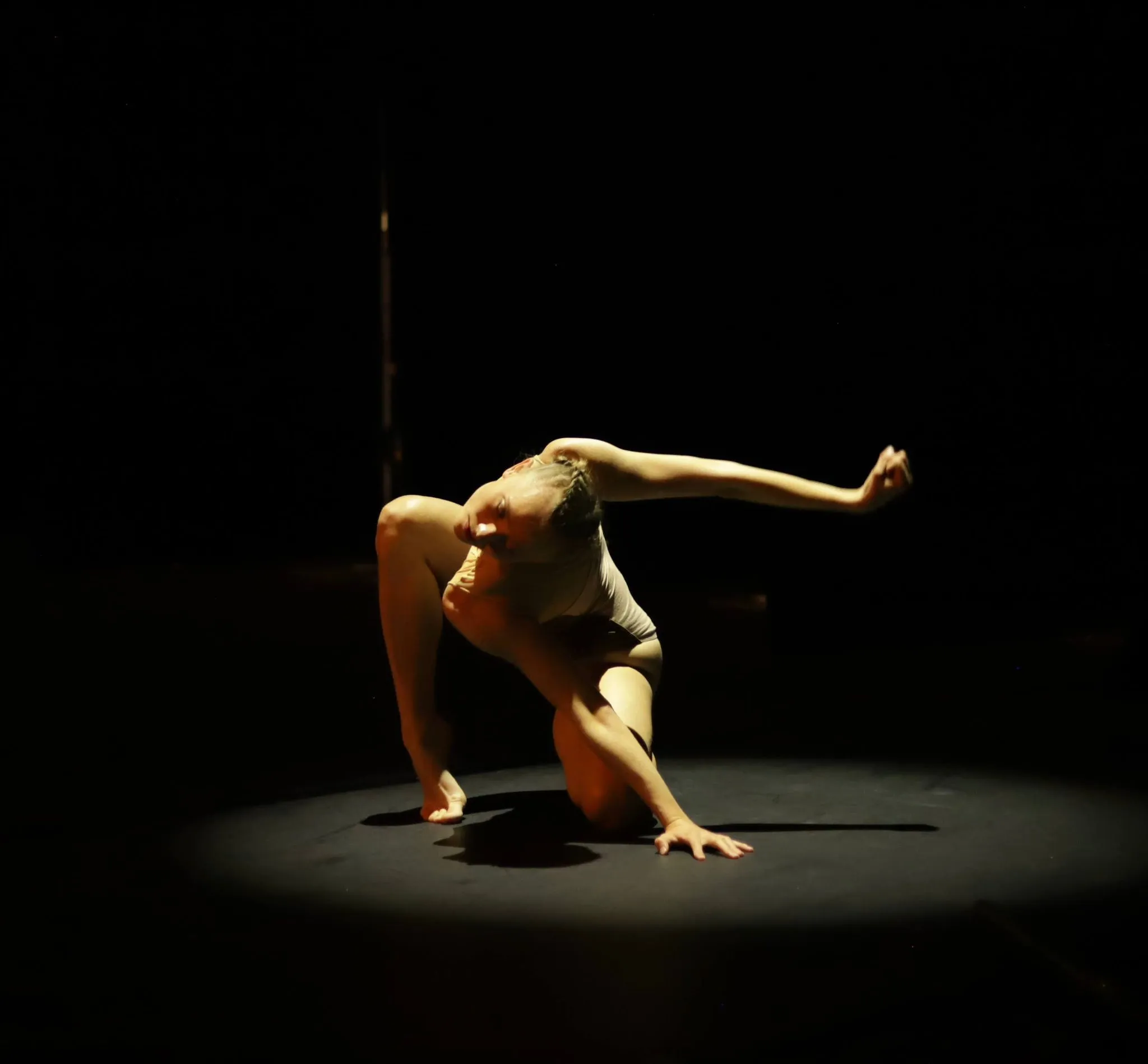 Danse et musique de chambre