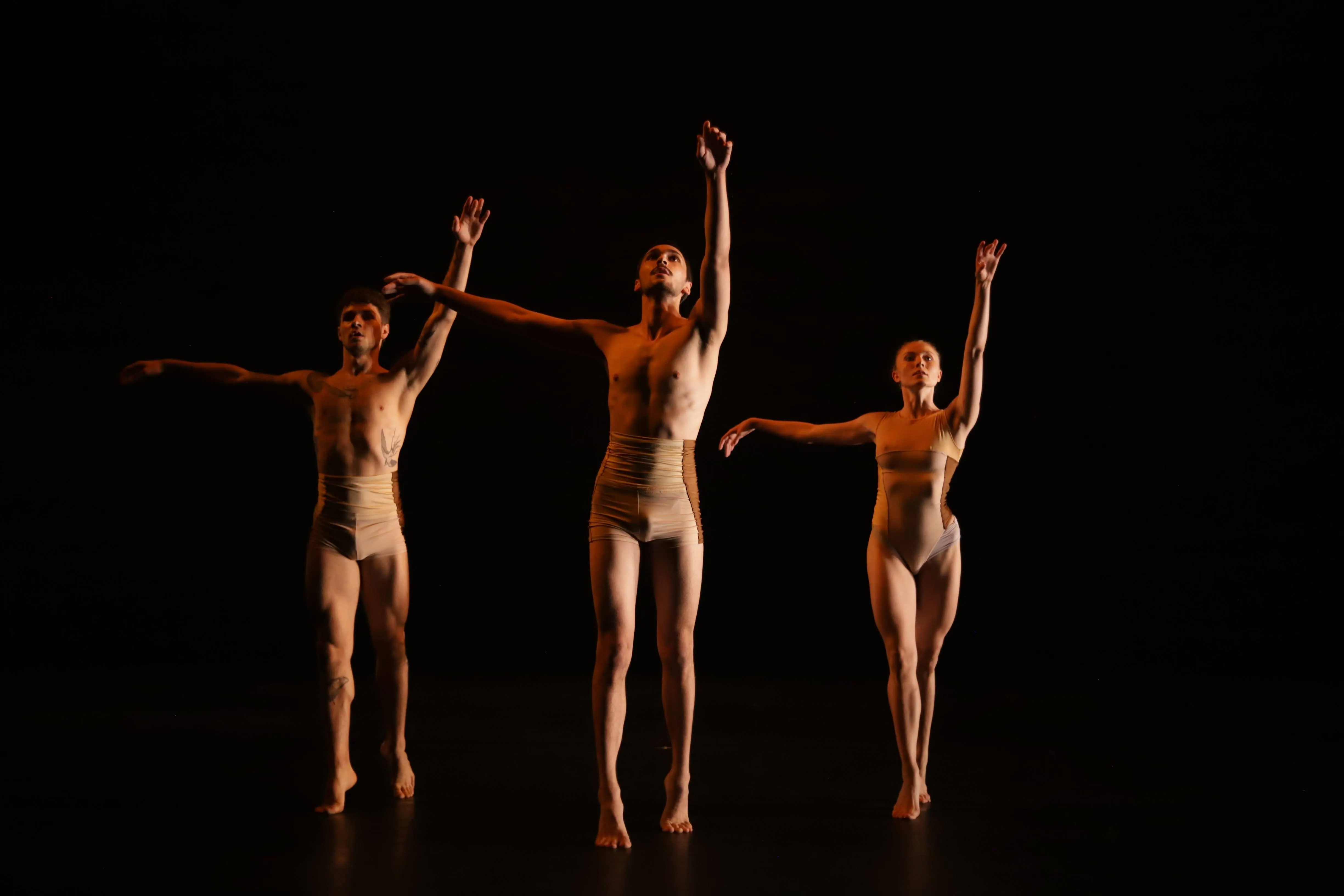 Primaire — photo 3