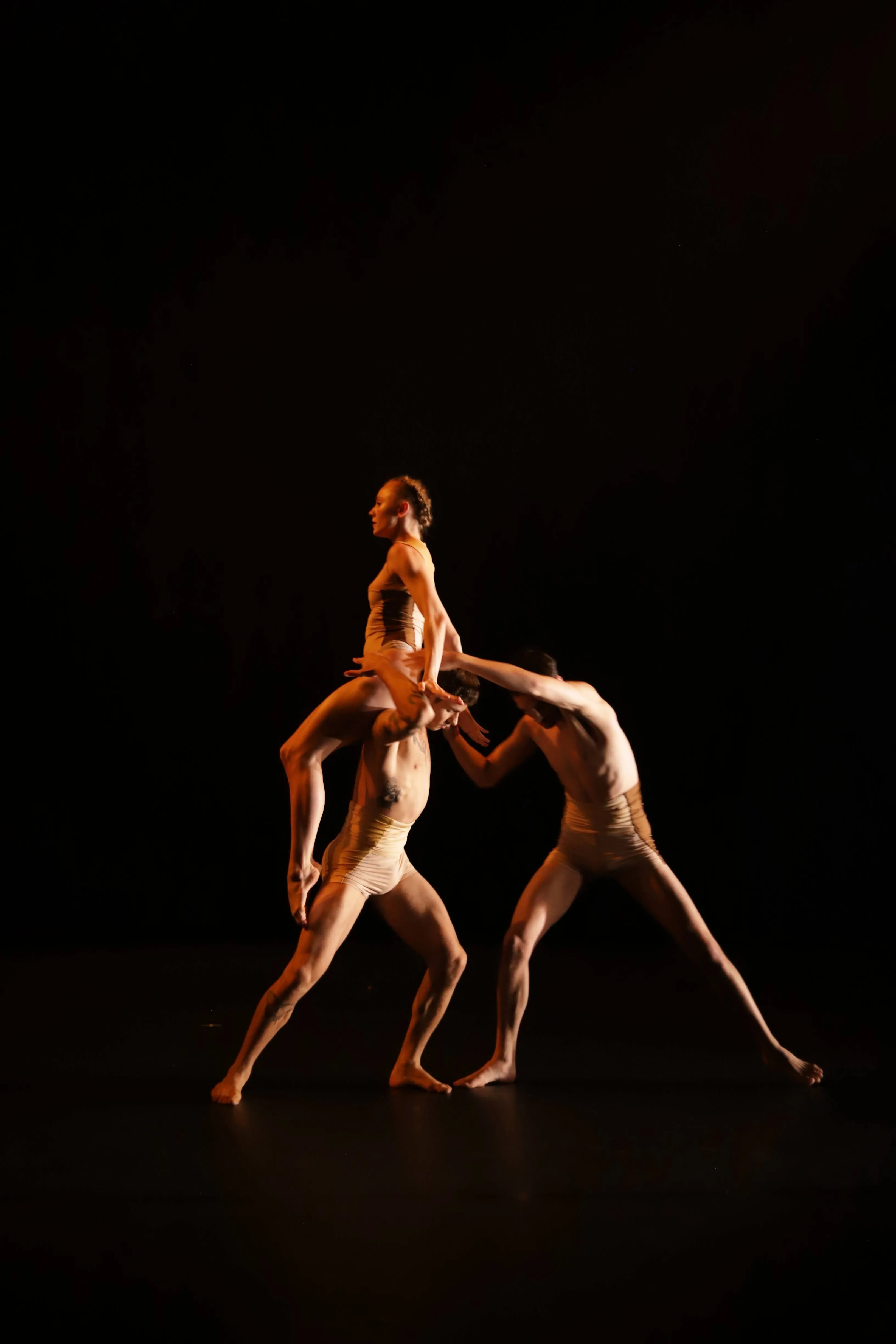 Primaire — À propos